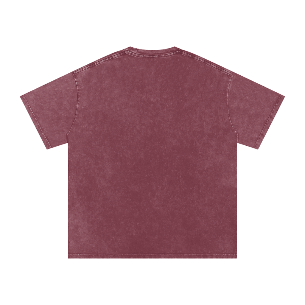 WTD Snow Washed Oversized Cotton T-Shirt